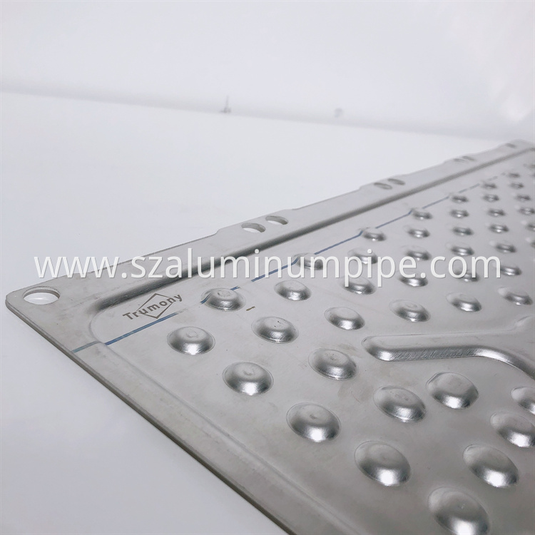 Water cooling plate (10)